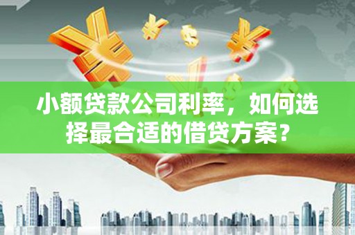 万里小额贷款公司利率，如何选择最合适的借贷方案？