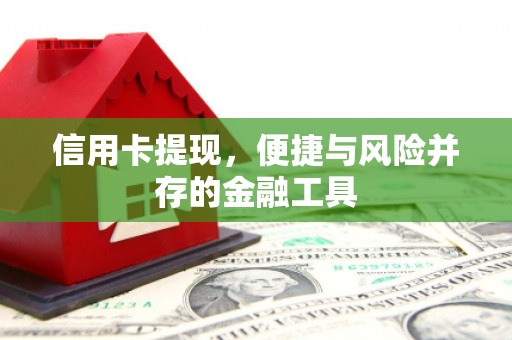 万里信用卡提现，便捷与风险并存的金融工具