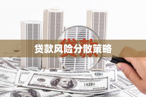 万里贷款风险分散策略