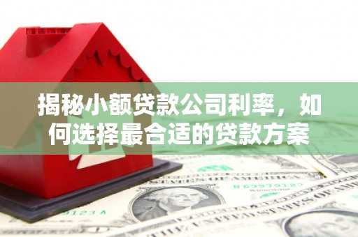 万里揭秘小额贷款公司利率，如何选择最合适的贷款方案