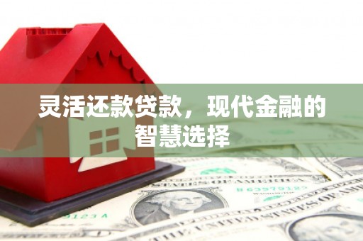 万里灵活还款贷款，现代金融的智慧选择