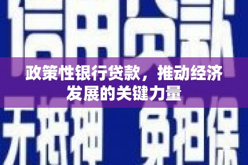 万里政策性银行贷款，推动经济发展的关键力量