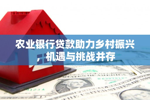 万里农业银行贷款助力乡村振兴，机遇与挑战并存