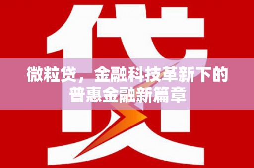 万里微粒贷，金融科技革新下的普惠金融新篇章