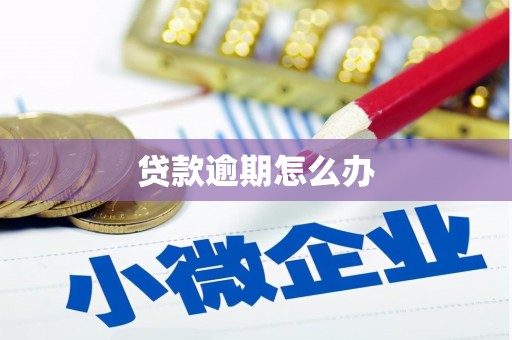 万里贷款逾期怎么办