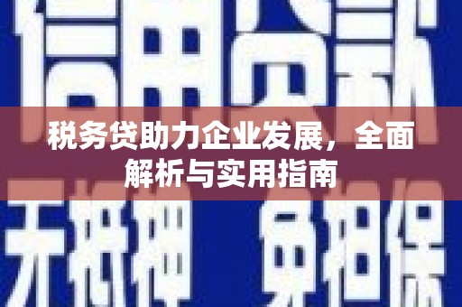 万里税务贷助力企业发展，全面解析与实用指南