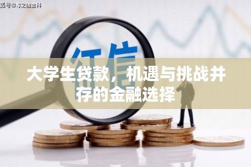 万里大学生贷款，机遇与挑战并存的金融选择
