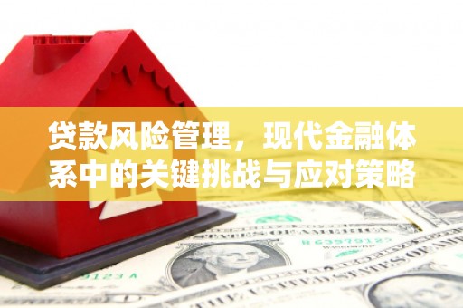 万里贷款风险管理，现代金融体系中的关键挑战与应对策略