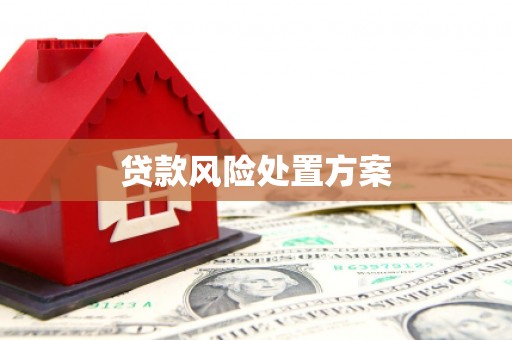 万里贷款风险处置方案