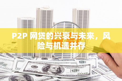 万里P2P 网贷的兴衰与未来，风险与机遇并存