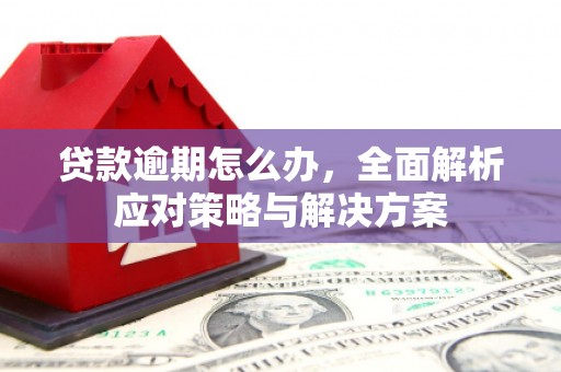 万里贷款逾期怎么办，全面解析应对策略与解决方案