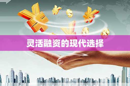 万里灵活融资的现代选择