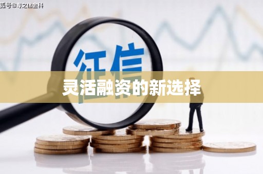 万里灵活融资的新选择