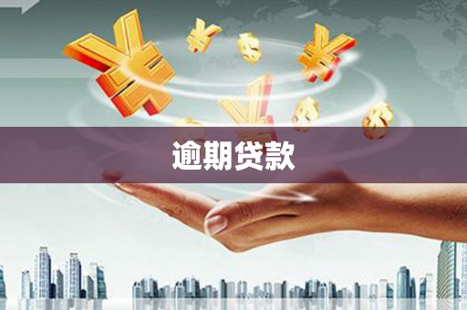 万里逾期贷款