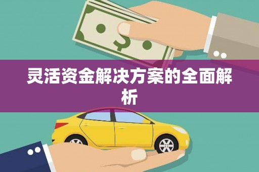 万里灵活资金解决方案的全面解析