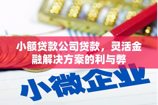 万里小额贷款公司贷款，灵活金融解决方案的利与弊
