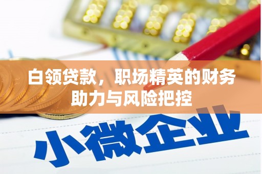 万里白领贷款,职场精英的财务助力与风险把控 万里白领贷款,职场精英的财务助力与风险把控